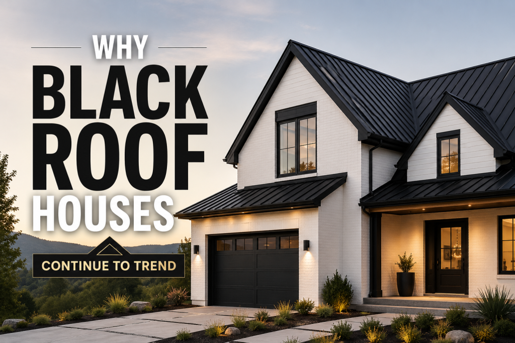 black roof house ideas